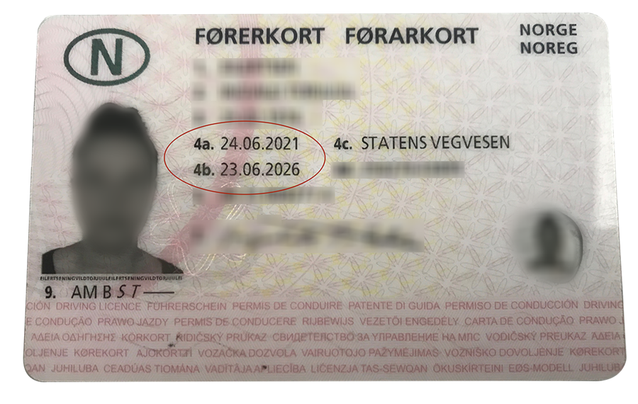 falske førerkort på nett